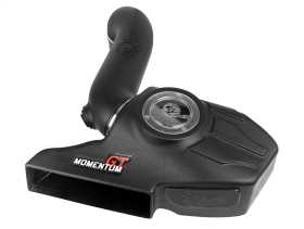 Momentum GT Pro DRY S Air Intake System 50-70036D
